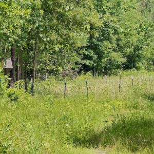 Photo #61 of Off Indian Woods Road, Windsor, NC 17.6 acres