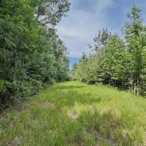 Photo #62 of Off Indian Woods Road, Windsor, NC 17.6 acres