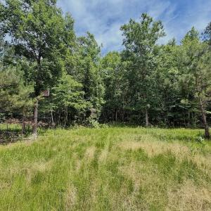 Photo #63 of Off Indian Woods Road, Windsor, NC 17.6 acres