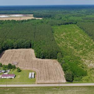Photo #3 of Off of Republican RD, Windsor, NC 3.8 acres