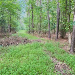 Photo #6 of Off of Republican RD, Windsor, NC 3.8 acres