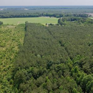 Photo #8 of Off of Republican RD, Windsor, NC 3.8 acres