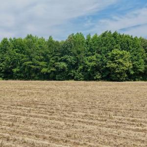 Photo #11 of Off of Republican RD, Windsor, NC 3.8 acres