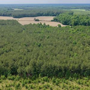 Photo #17 of Off of Republican RD, Windsor, NC 3.8 acres