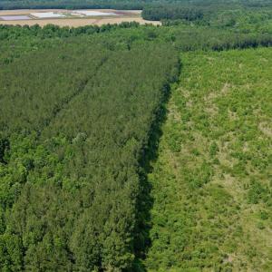 Photo #18 of Off of Republican RD, Windsor, NC 3.8 acres