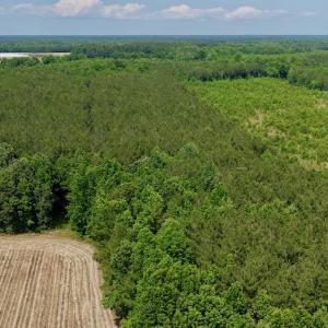Photo #13 of Off of Republican RD, Windsor, NC 3.8 acres
