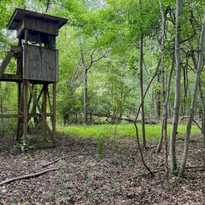 Photo #23 of Off of Republican RD, Windsor, NC 3.8 acres