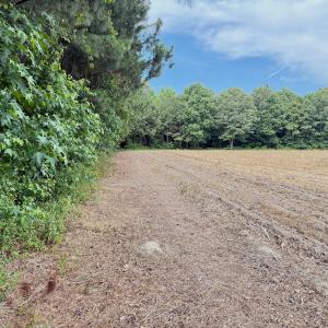 Photo #26 of Off of Republican RD, Windsor, NC 3.8 acres