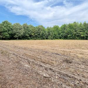 Photo #27 of Off of Republican RD, Windsor, NC 3.8 acres