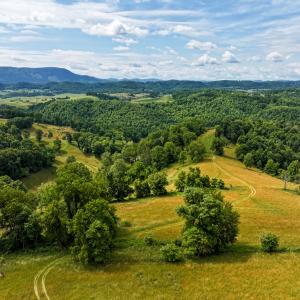 Photo #10 of 453 Long Hollow Rd, Cleveland, VA 103.2 acres