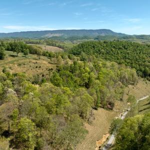 Photo #27 of 453 Long Hollow Rd, Cleveland, VA 103.2 acres