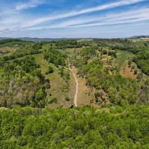 Photo #28 of 453 Long Hollow Rd, Cleveland, VA 103.2 acres