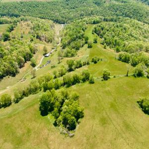 Photo #29 of 453 Long Hollow Rd, Cleveland, VA 103.2 acres
