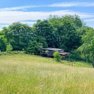 Photo #36 of 453 Long Hollow Rd, Cleveland, VA 103.2 acres