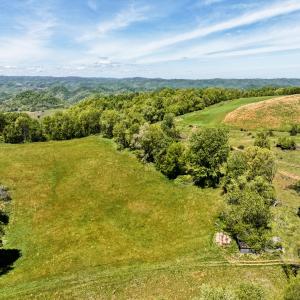 Photo #43 of 453 Long Hollow Rd, Cleveland, VA 103.2 acres
