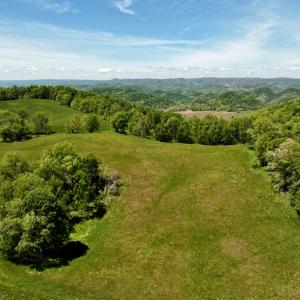 Photo #44 of 453 Long Hollow Rd, Cleveland, VA 103.2 acres