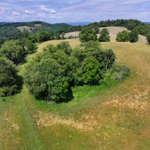 Photo #45 of 453 Long Hollow Rd, Cleveland, VA 103.2 acres