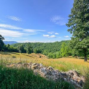 Photo #49 of 453 Long Hollow Rd, Cleveland, VA 103.2 acres