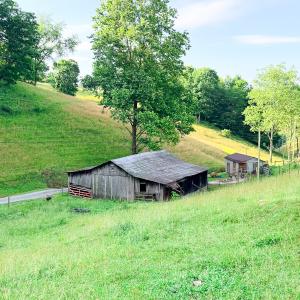 Photo #5 of 453 Long Hollow Rd, Cleveland, VA 103.2 acres