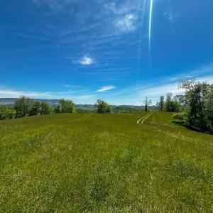 Photo #53 of 453 Long Hollow Rd, Cleveland, VA 103.2 acres