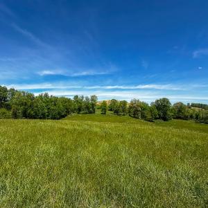 Photo #54 of 453 Long Hollow Rd, Cleveland, VA 103.2 acres