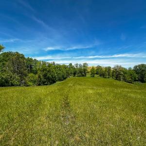 Photo #55 of 453 Long Hollow Rd, Cleveland, VA 103.2 acres