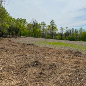 Photo #3 of Off of Pentecost Road, Cedar Grove, NC 23.3 acres