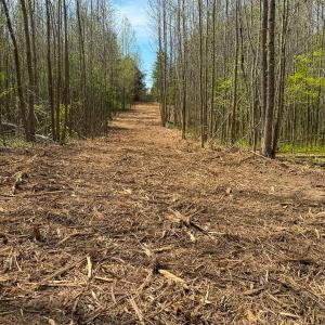 Photo #5 of Off of Pentecost Road, Cedar Grove, NC 23.3 acres