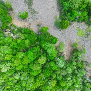 Photo #6 of Off of Pentecost Road, Cedar Grove, NC 23.3 acres