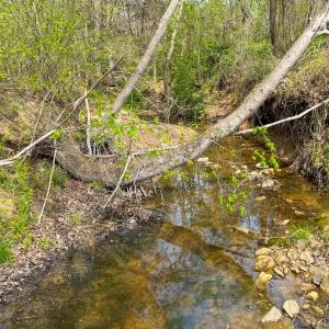 Photo #7 of Off of Pentecost Road, Cedar Grove, NC 23.3 acres