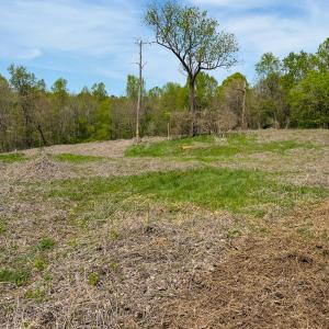Photo #11 of Off of Pentecost Road, Cedar Grove, NC 23.3 acres