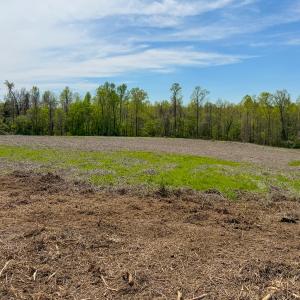 Photo #15 of Off of Pentecost Road, Cedar Grove, NC 23.3 acres