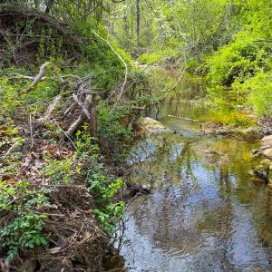 Photo #16 of Off of Pentecost Road, Cedar Grove, NC 23.3 acres