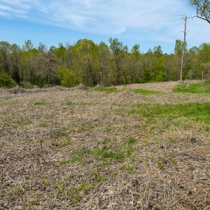 Photo #20 of Off of Pentecost Road, Cedar Grove, NC 23.3 acres
