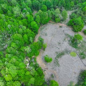Photo #22 of Off of Pentecost Road, Cedar Grove, NC 23.3 acres