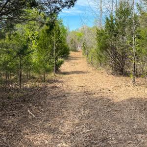 Photo #23 of Off of Pentecost Road, Cedar Grove, NC 23.3 acres