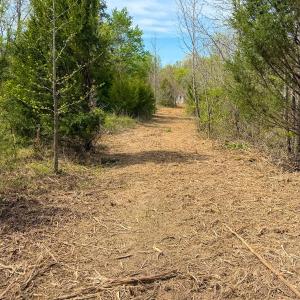 Photo #33 of Off of Pentecost Road, Cedar Grove, NC 23.3 acres