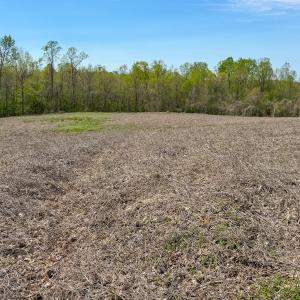 Photo #35 of Off of Pentecost Road, Cedar Grove, NC 23.3 acres