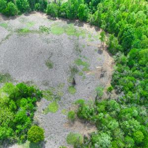 Photo #40 of Off of Pentecost Road, Cedar Grove, NC 23.3 acres