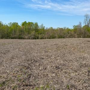 Photo #41 of Off of Pentecost Road, Cedar Grove, NC 23.3 acres
