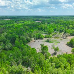 Photo #42 of Off of Pentecost Road, Cedar Grove, NC 23.3 acres
