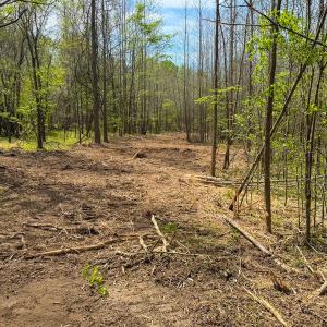 Photo #43 of Off of Pentecost Road, Cedar Grove, NC 23.3 acres