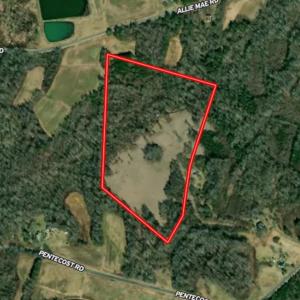 Photo #45 of Off of Pentecost Road, Cedar Grove, NC 23.3 acres
