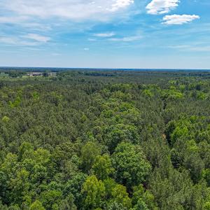 Photo #16 of 9013 Southampton Pkwy, Drewryville, VA 17.5 acres