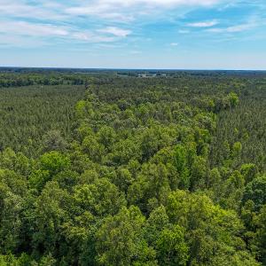 Photo #17 of 9013 Southampton Pkwy, Drewryville, VA 17.5 acres