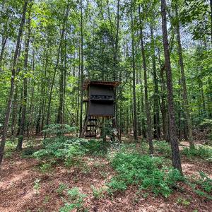 Photo #19 of 9013 Southampton Pkwy, Drewryville, VA 17.5 acres