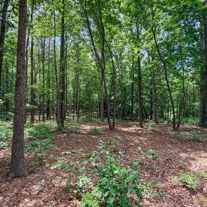 Photo #20 of 9013 Southampton Pkwy, Drewryville, VA 17.5 acres