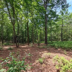 Photo #21 of 9013 Southampton Pkwy, Drewryville, VA 17.5 acres