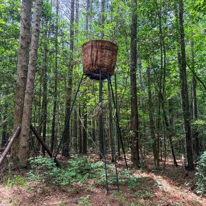 Photo #26 of 9013 Southampton Pkwy, Drewryville, VA 17.5 acres