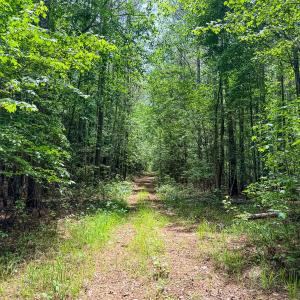Photo #27 of 9013 Southampton Pkwy, Drewryville, VA 17.5 acres